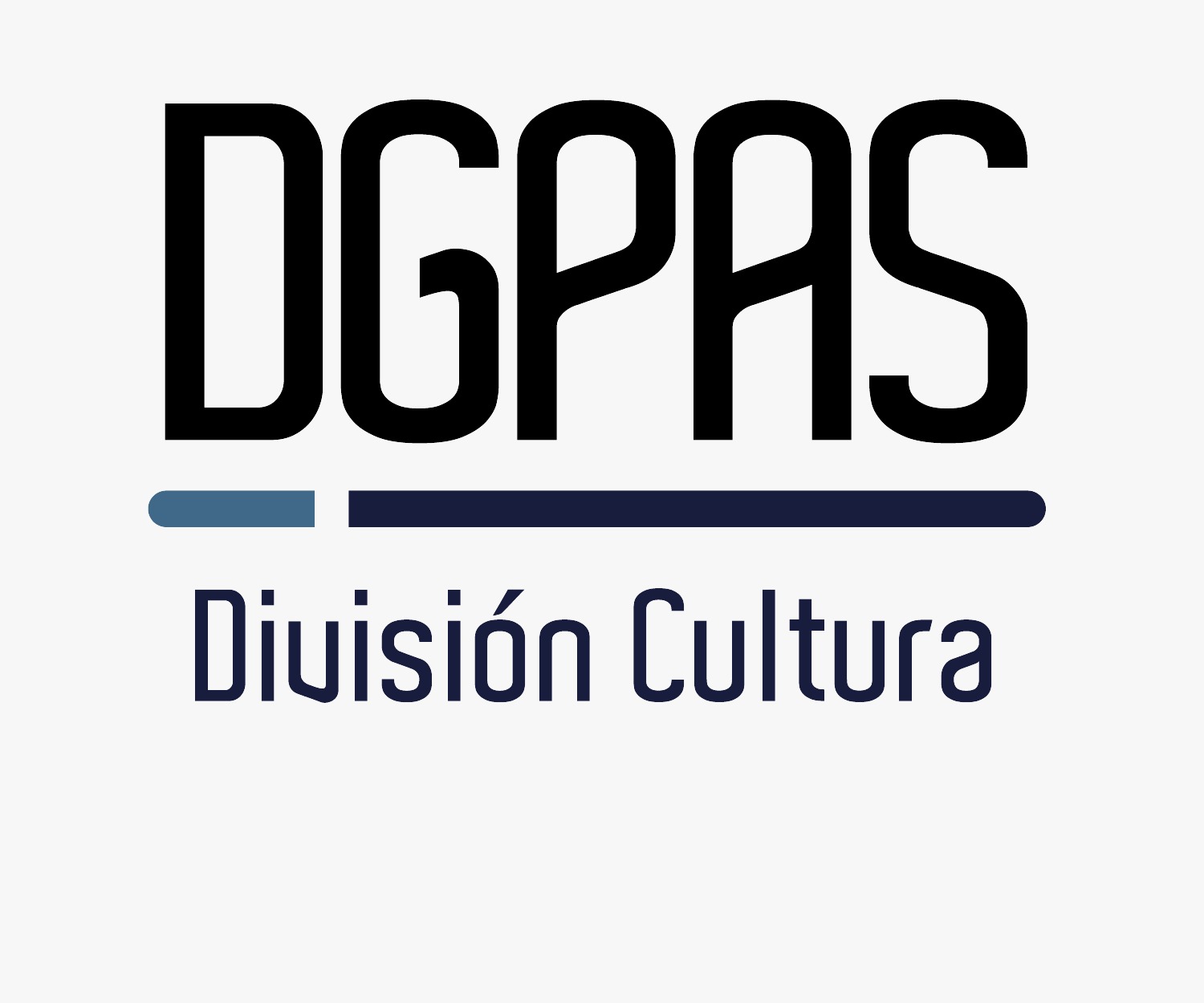 División Cultura de la IDR